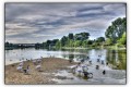 Bords de Loire - Orléans